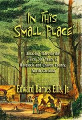 In This Small Place by Edward Barnes Ellis, Jr.